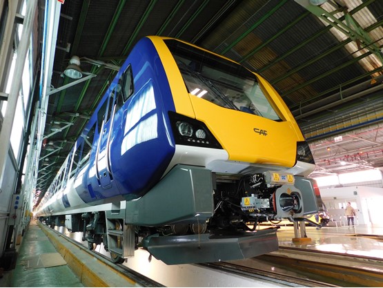 Rolling stock panel dismisses idea of shorter-lifespan trains