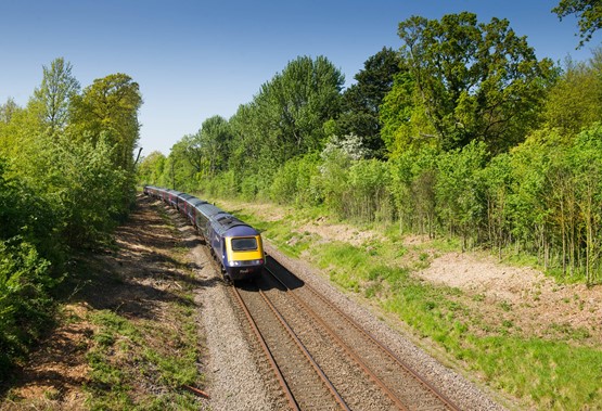 Railway Vegetation Management